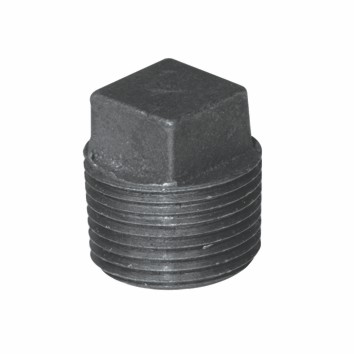 Black Plug
